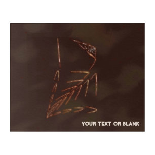 Jurassic Fossil Acrylic Print