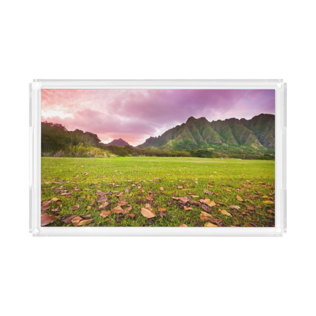 Jurassic Sunset Acrylic Tray (Front)