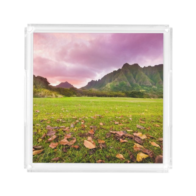 Jurassic Sunset Acrylic Tray (Front)