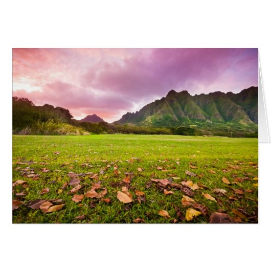 Jurassic Sunset Cards (Front Horizontal)