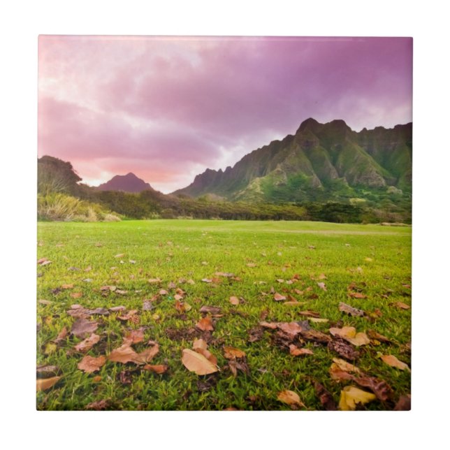 Jurassic Sunset Ceramic Tile (Front)
