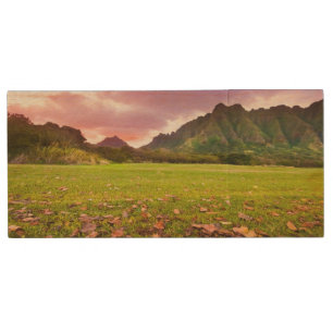 Jurassic Sunset Wood Flash Drive