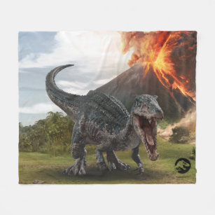 Wonder Studio Blue Gray Black White Dinosaur Jurassic Throw Blanket 50"x 60" $68 