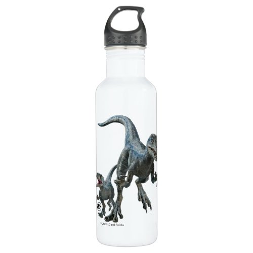 Jurassic World  Blue and Beta Stainless Steel Water Bottle