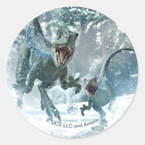 Jurassic World  Blue  Beta in Snowy Forest Classic Round Sticker