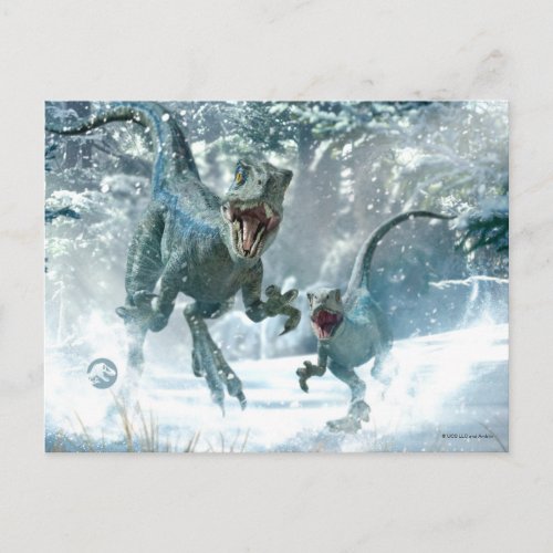 Jurassic World  Blue  Beta in Snowy Forest Postcard