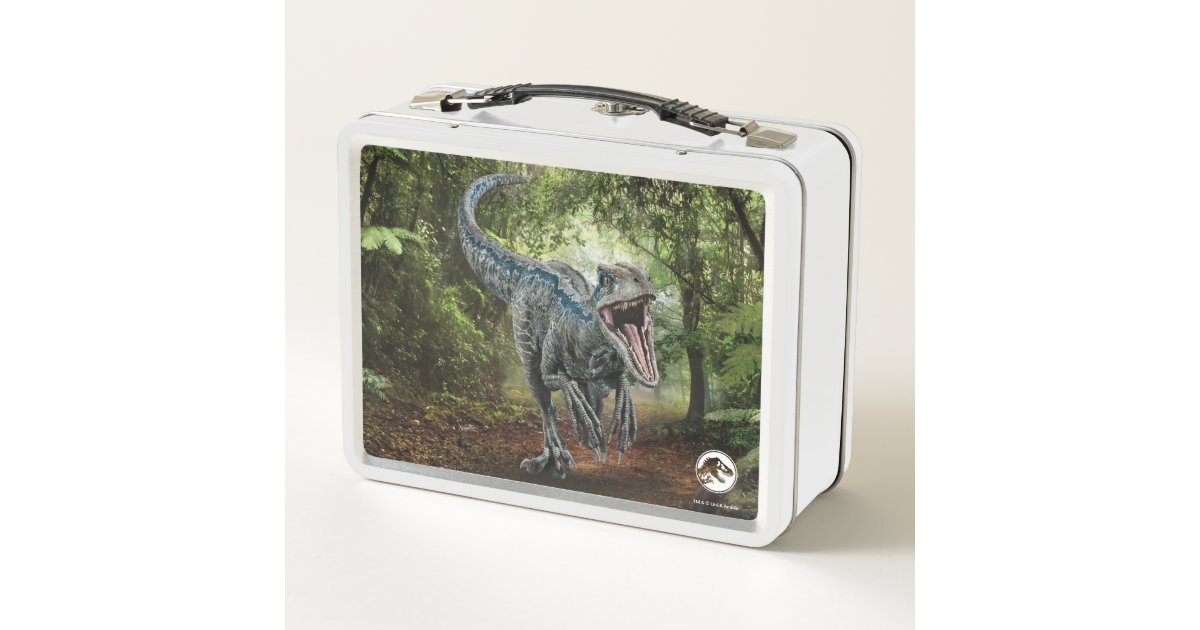 Blue Dino Lunch Box