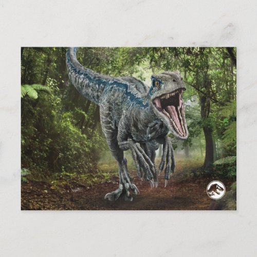 Jurassic World  Blue _ Natures Got Teeth Postcard