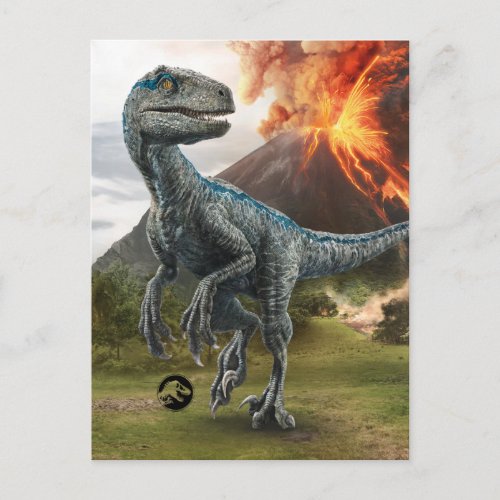 Jurassic World  Blue Postcard
