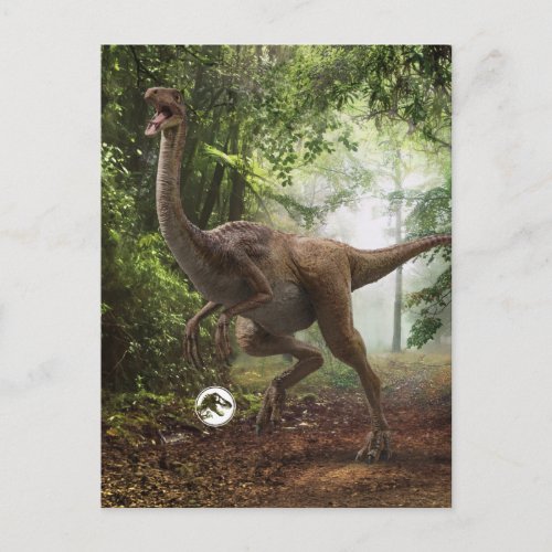 Jurassic World  Gallimimus Postcard