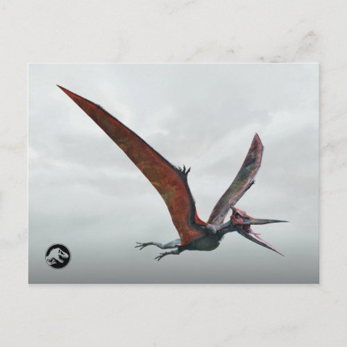 Jurassic World  Pteranodon Postcard