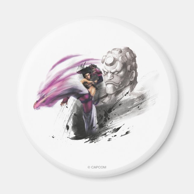 Juri Vs. Hakan Magnet (Front)