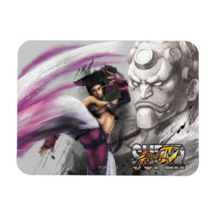 Juri Vs. Hakan Magnet