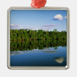 Juruena, Brazil. Forested river bank reflected Metal Ornament