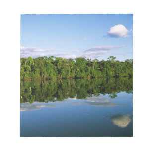 Juruena, Brazil. Forested river bank reflected Notepad