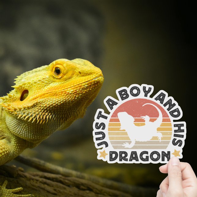 Just A Boy And His Dragon Reptile Lover Quote Sticker (Just A Boy And His Dragon)
