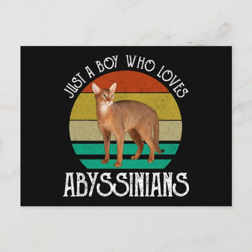 Just A Boy Who Loves Abyssinians Postcard