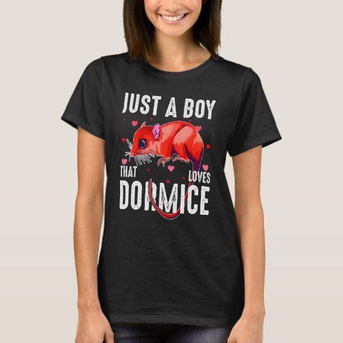 Just A Boy Who Loves African Dwarf Dormouse Exotic T_Shirt