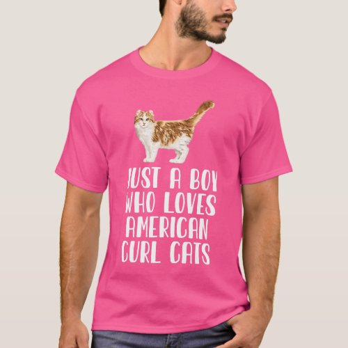 Just A Boy Who Loves American Curl Cats T_Shirt