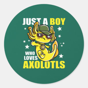 Just a boy who loves axolotls Cute Funny Kawaii Cl Classic Round Sticker