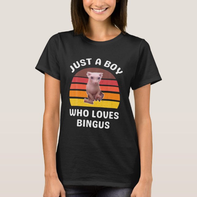 Just A Boy Who Loves Bingus  Hairless Sphynx Cat T-Shirt (Front)