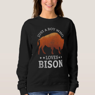 Just A Boy Who Loves Bison Vintage Bison Novelty Sweatshirt