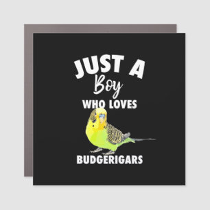 Just A Boy Who Loves Budgerigars Parrot Car Magnet
