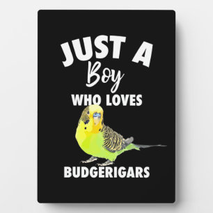 Just A Boy Who Loves Budgerigars Parrot Plaque