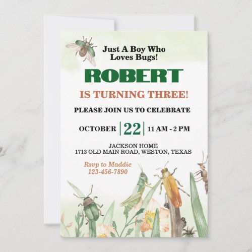 Just A Boy Who Loves Bugs Birthday Invitation