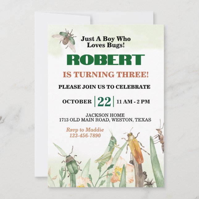 Just A Boy Who Loves Bugs Birthday Invitation (Front)