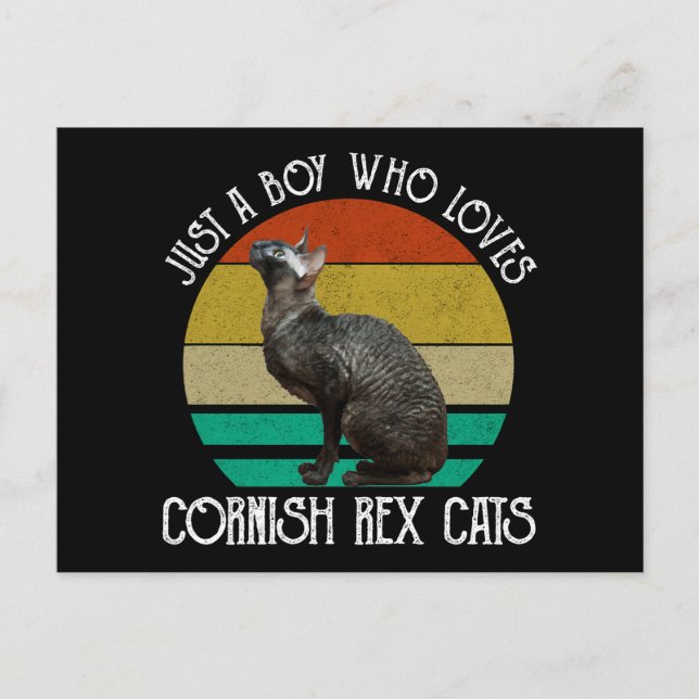 Just A Boy Who Loves Cornish Rex Cats Postcard (Front)