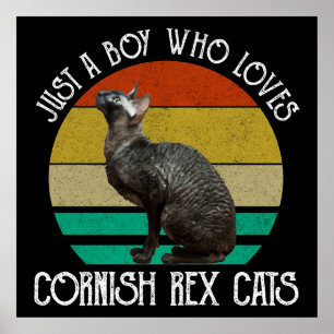 Just A Boy Who Loves Cornish Rex Cats Poster