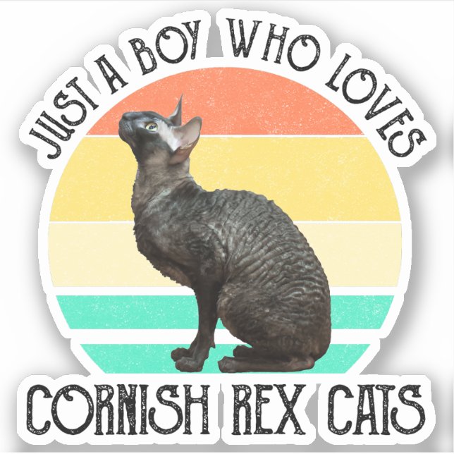 Just A Boy Who Loves Cornish Rex Cats Sticker (Front)