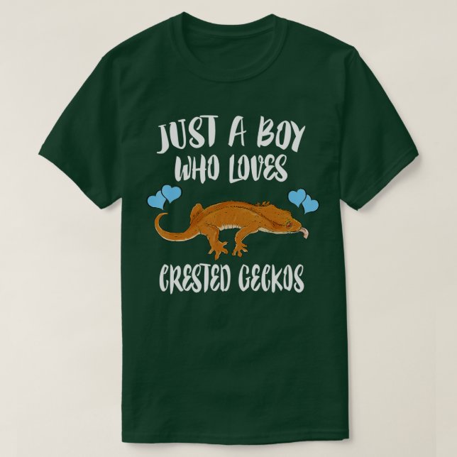 Just A Boy Who Loves Crested Geckos Ok Pet Lizard  T-Shirt (Design Front)
