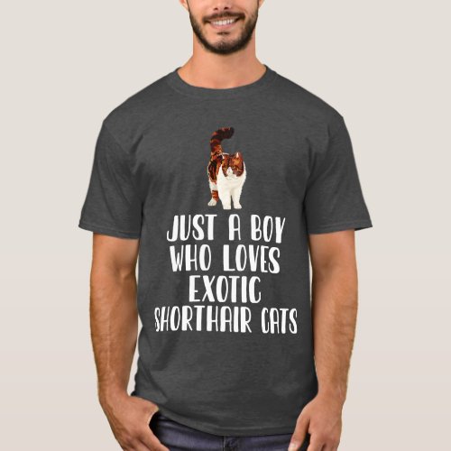 Just A Boy Who Loves Exotic Shorthair Cats T_Shirt