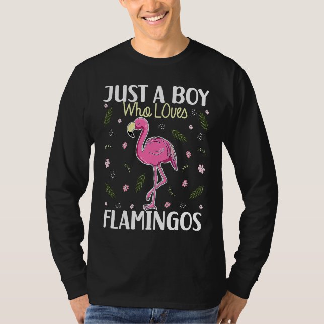 Just a Boy Who Loves Flamingos   Flamingo  Boys T-Shirt (Front)