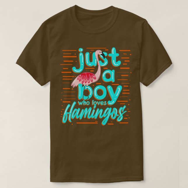 Just A Boy Who Loves Flamingos T-Shirt (Design Front)
