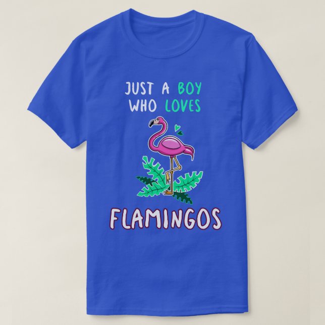 Just A Boy Who Loves Flamingos T-Shirt (Design Front)