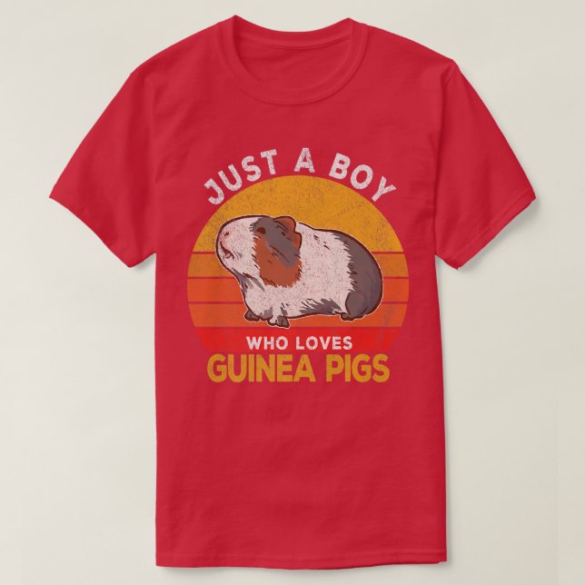 Just A Boy Who Loves Guinea Pigs Lover Wheek Retro T-Shirt (Design Front)