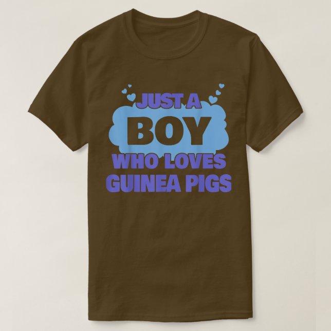 Just A Boy Who Loves Guinea pigs  T-Shirt (Design Front)