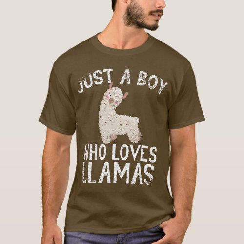Just A Boy Who Loves Llamas T_Shirt
