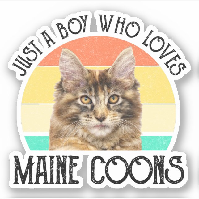 Just A Boy Who Loves Maine Coons Sticker (Front)