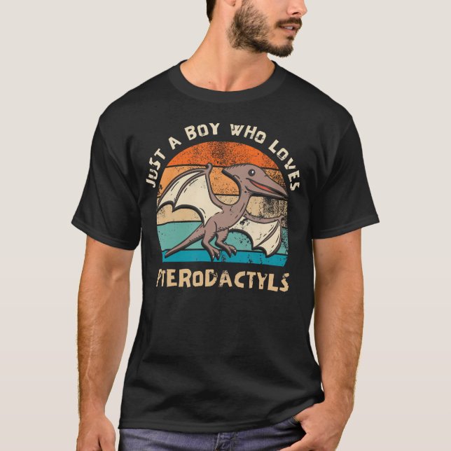Just A Boy Who Loves Pterodactyls Kids Toddler Bab T-Shirt (Front)
