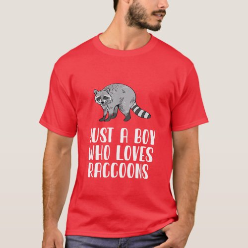 Just A Boy Who Loves Raccoons 1 T_Shirt