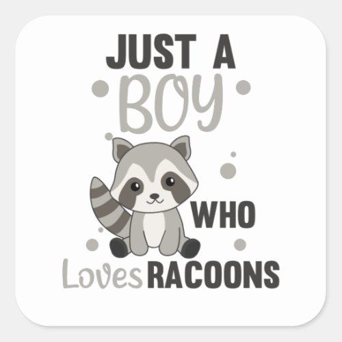 Just A Boy Who Loves Racoons Kawaii Raccoon Square Sticker