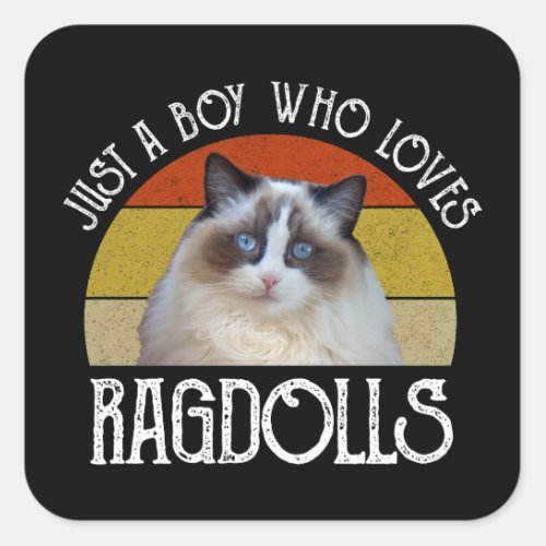 Just A Boy Who Loves Ragdolls Square Sticker