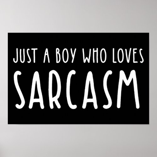 Just A Boy Who Loves Sarcasm Poster