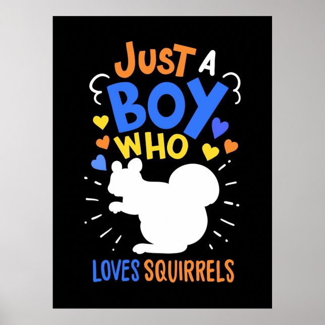Just A Boy Who Loves Squirrels Poster (Front)