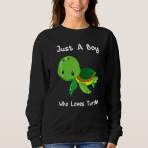Just A Boy Who Loves Turtles Turtle Lover Gift Sweatshirt