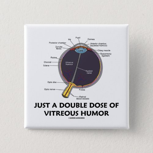 Just A Double Dose Of Vitreous Humor Eye Anatomy Button